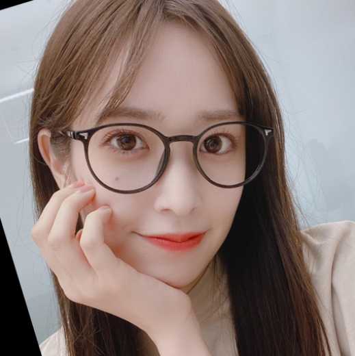 Deepfacelab【镇坛之宝】2024版万能Xseg模型2400W迭代